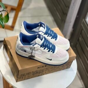 AF1 NORTH FACE
